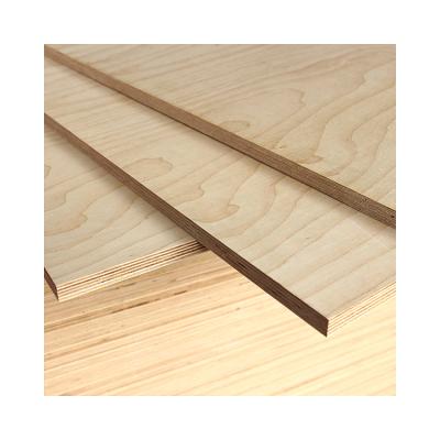 China Wholesale 5mm Birch Veneer Industrial Waterproof Laminated Plywood for sale