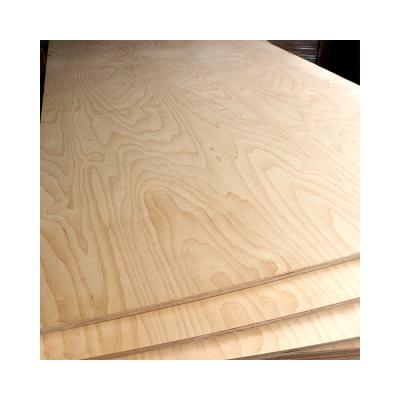 China Cabinet Birch Veneer Thin Layer Plywood-Chinese Industrial Processing Grade for sale