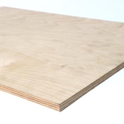 China Modern low price guaranteed quality birch plywood sheets russian birch plywood 15mm for sale