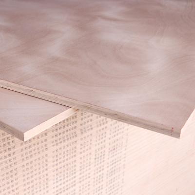 China Supply Industrial High Quality Furniture Customized Multilayer Plywood for sale