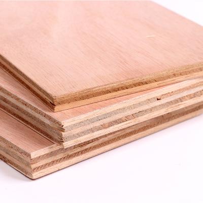 China Industrial birch faced plywood 3-28mm UV coading poplar plywood / eucalyptus core plywood for furniture / construction for sale