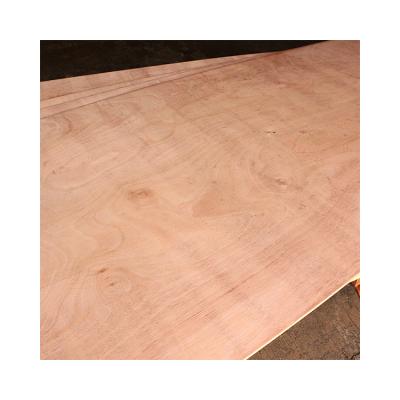 China Contemporary hot sale packaging high quality export plywood for sale