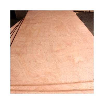 China Modern Custom High Quality Red Poplar Hardwood Hardwood Face And Back Packing Plywood for sale