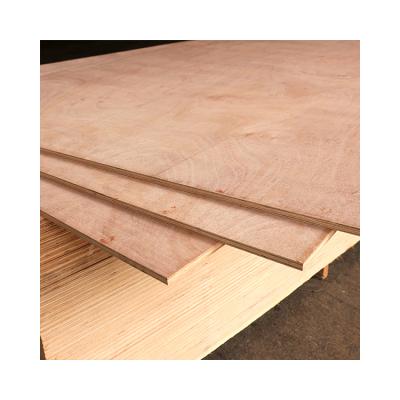 China Guaranteed Packing Type Modern Poplar Plywood Plywood Panels 5-Ply Quality Price Suitable Main Material for sale