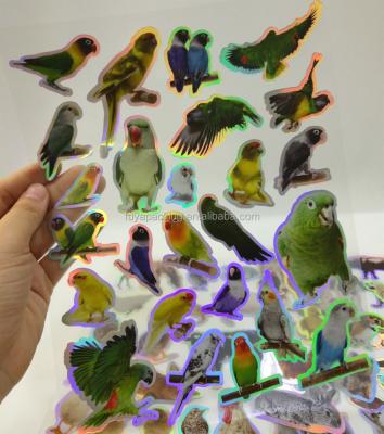 China Lovely Cartoon Sticker New Design Colors Bird Stickers PVC Sticker for sale