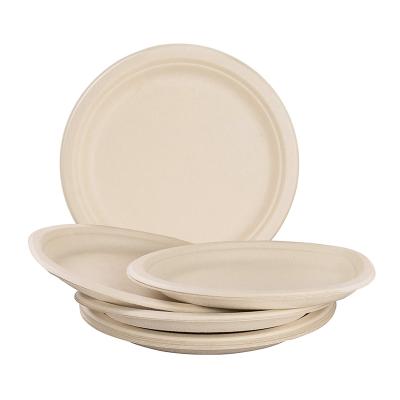 China Sugar Cane / Bagasse Wheatstraw Disposable Disposable Disposable Disposable Plates Disposable Natural Biodegradable Plant Based Process Compostable Plate for sale