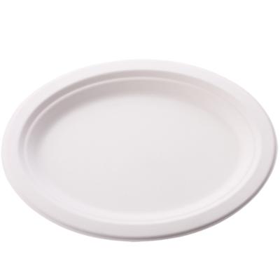 China 10 Inch Disposable OVAL Dish Bagasse Sugar Cane Disposable Biodegradable Dish for sale