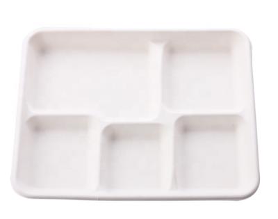 China School Disposable Bagasse Tray Disposable Biodegradable Sugar Cane Tray And Dish for sale