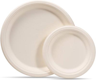 China Disposable Biodegradable Compostable Sugarcane Bagasse Paper Pulp Eco - Friendly Dish for sale