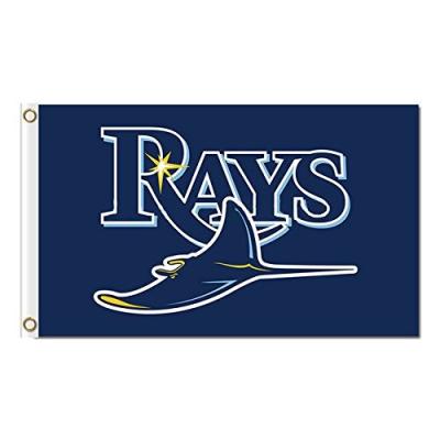 China New Tampa Bay Rays MLB Polyester Banner Flying Flag for sale