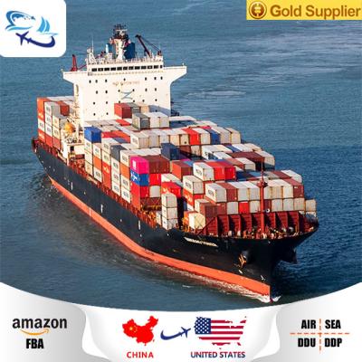 China China Sea Shipping Cheap Professional Shipping Sea Freight Forwarder From China To USA Sea Freight From China for sale