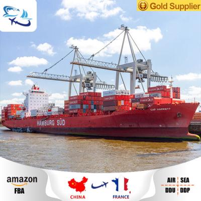 China Cheap FCL/LCL sea shipping from Qingdao China Shenzhen to ROUEN France sea freight from china for sale