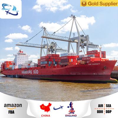 China Professional freight forwarder sea shipping service from shenzhen to urkey/sea freight from UK/France/Germany from china for sale