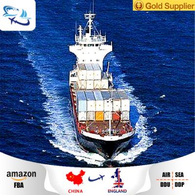 China Sea freight cargo shipping china to usa shipping agent freight forwarder include china customs and taxes sea freight for sale