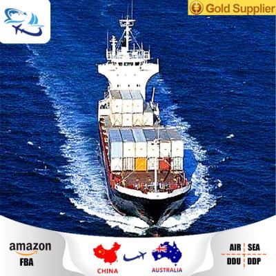 China freight forwarder australia shipping to australia sea shipping agent australia ddp door to door ddp sea freight australia china china for sale