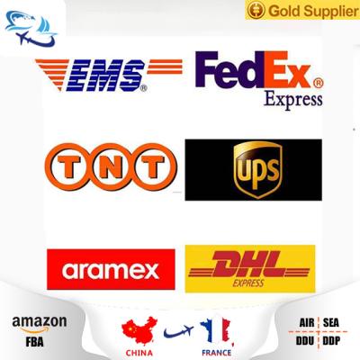 China Freight Forwarder From Shenzhen To US USA USA Express Logistics Services Shipping Company FBA Amazon Freight Forwarder for sale