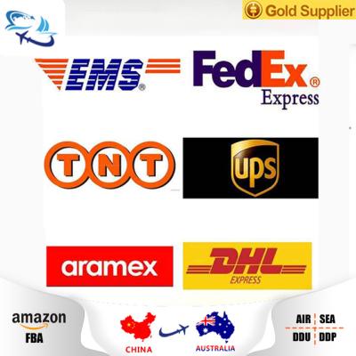 China cheapest rate logistics DHL / ups / Federal Express express freight forwarder from Shenzhen China to the world by DHL ups FedEx DHL UPS FEDEX TNT Aramex for sale