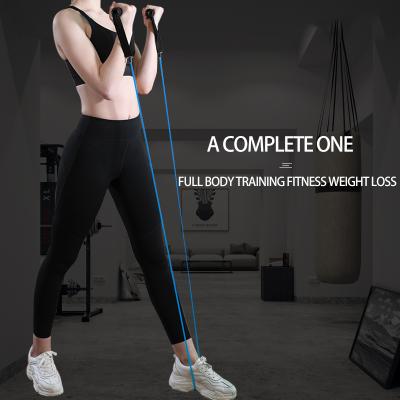 China Home Gym Commerical Bandas Elasticas De Resistencia Resistance Bands Set 11Pcs for sale