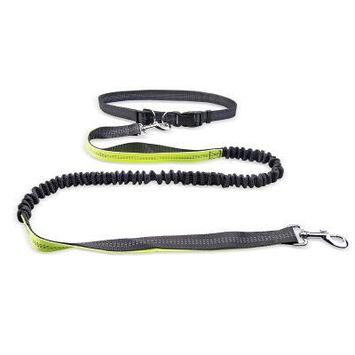 China Wholesale 2.5x190CM Webbing Reflective Nylon Woven Pet Training Handrails Retractable Free Dog Leash for sale