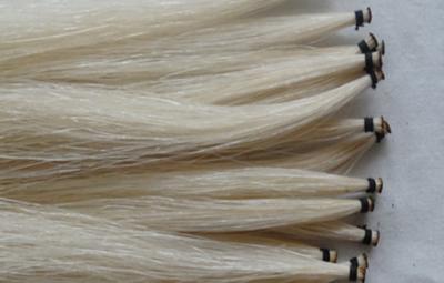 China Genuine mongolian fiddle horse hair for bow rehairs for sale