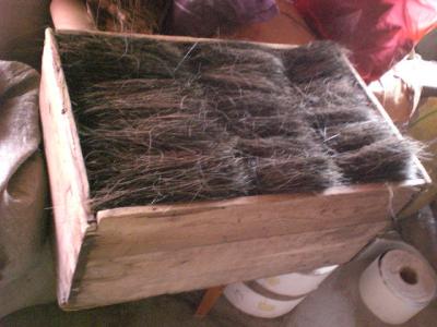 China Cushion ponytail hair mixed with pp fiber for brush making for sale