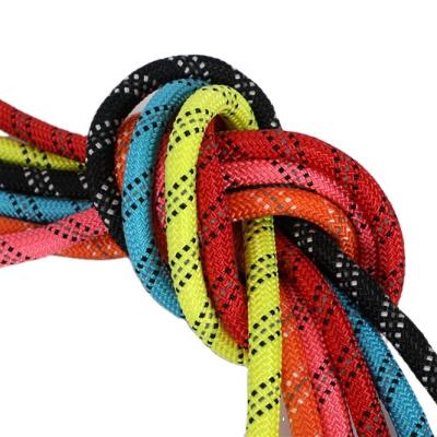 China High Abrasion Resistance Customized Multifunctional Braided Dog Rope Nylon Polyester Leash Reflective Rope PP Braided Rope for sale