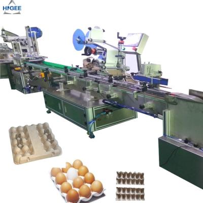 Cina Egg l'etichettatrice con le scatole di plastica dell'uovo, etichettatrice piana del contenitore di cartone del vassoio con il contenitore di sabbia dell'uovo della scatola del protettore delle uova in vendita