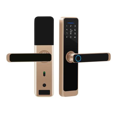 China Intelligent Door Lock Smart Biometric Fingerprint Door Handle Digital Keyless Lock X5 for sale