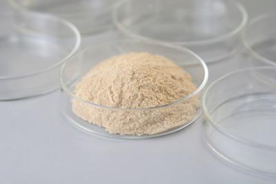 China 100000-800000U/G Esterification Transesterification Lipase Powder / Liquid for sale