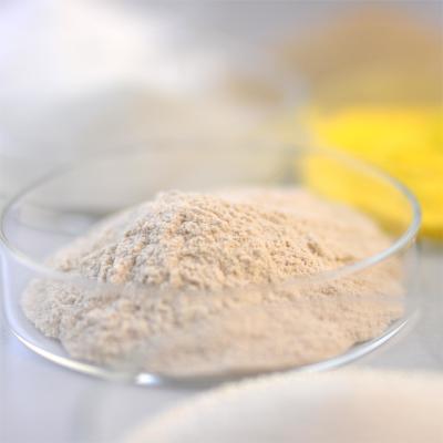 China Thermostable Alkaline Protease Protein Enzyme Be Used In Food Fields for sale