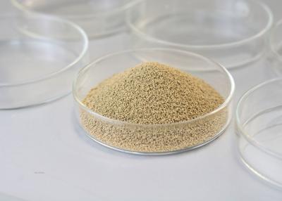 China Immobilized Lipase Granule Industrial Enzyme With Good Stability for sale