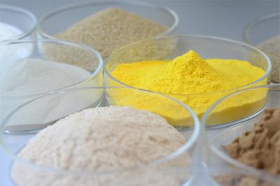 China Highly Active Endo Bakery Enzyme Xylanase In Food For Flour Improvement for sale