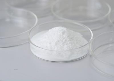 China Phospholipase Powder Protein Enzyme For Food Processing for sale