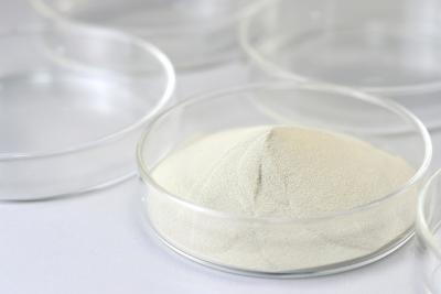 China Lactase Food Grade Enzymes β-Galactosidase Catalyze The Breakdown Of Lactose for sale