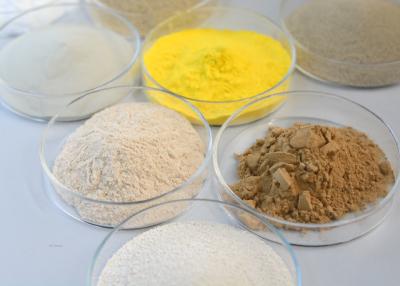 China Fungal Amylase Bakery Enzyme Powder Food Additives for sale