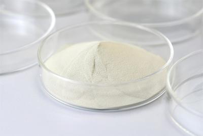 Chine ISO9001 Enzymes de qualité alimentaire en poudre de lactase Plage de pH 4,0 à 5.5 à vendre