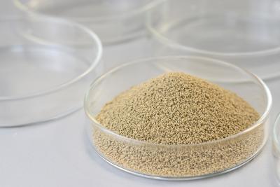 China Lipase Immobilized Enzyme With High Environmental Friendliness High Reusability for sale