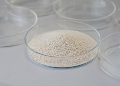 China Food Grade Alcohol Fermentation Bio Enzymes For Wastewater Treatment Specialized Multi Enzyme for sale