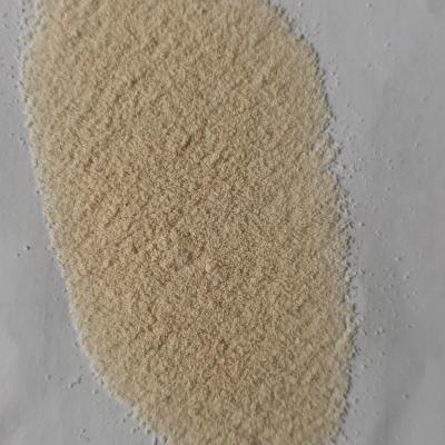 China Washing Lipase Applying To Different Detergent Products Industrial Enzyme for sale