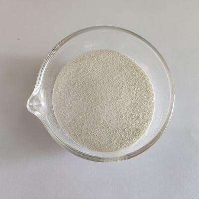 China Highly Active Endo Bakery Enzyme Xylanase In Food For Flour Improvement for sale