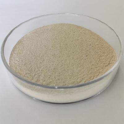 China Non-hazardous Protease Industrial Grade for Maximum Benefits for sale