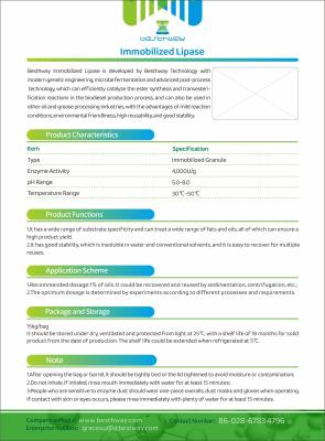 China Immobilized Lipase, Industrial Enzyme, Bioenergy Enzyme for sale