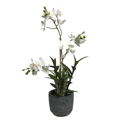 China Hot Selling Decoration Garden Bonsai Easter Party Supplies Orchid Plant For Home Decoration Artificial Flowers for sale