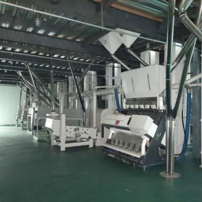 China Green Soybean Lentil Easy High Efficiency Operation Mung Bean Processing Plant/Equipment Bean Plant Cleaning Line for sale