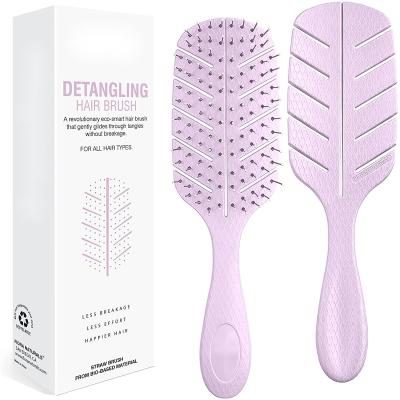 China Home exhaled detangling hair brush for faster drying hair brush, sheet wet and dry detangling hair brush for sale