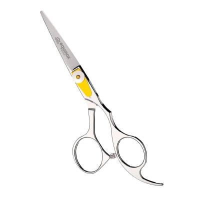 China Straight Scissors Amazon Top Selling Razor Wire Series Hair Cutting and Thinning Scissors Shears Set Stainless Steel 6Inches for sale