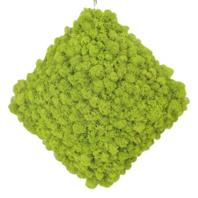 China Good Quality Wholesale Handmade Moss Block Yellowish Green Three Dimensional Decorative for sale