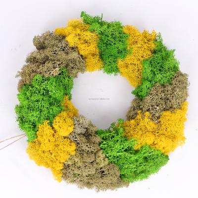 China Contact Wholesale Natural Live Preserved Moss Wreath Rings Door Wreaths For All Seasons for sale