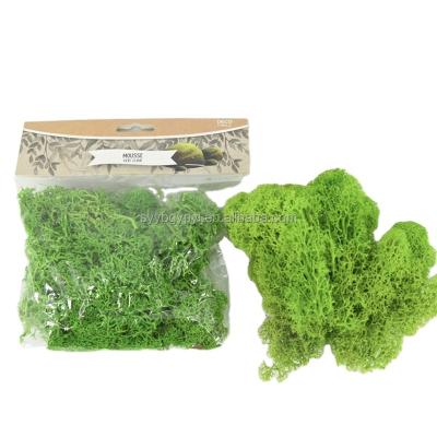 China Small Bag Home Decor Low Price New Christmas Natural Colorful Products Festival Decorative Preserved Touch Moss for sale