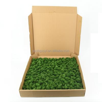 China Wholesale Eco-Friendly Moss 3d Wall Reindeer Green Army Decoration Natural Preserved Lichen 50cm Moss Panel Widely Supply for sale